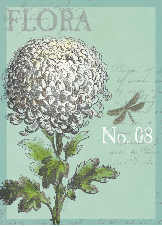 Flora Nouveau by Devon Ross Pricing Limited Edition Print image