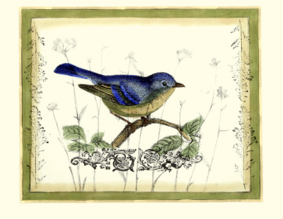 Bird And Wildflowers Ii by Jennifer Goldberger Pricing Limited Edition Print image