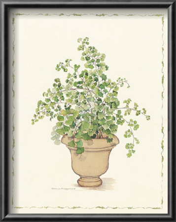 Green Plant In A Clay Pot by Cappello Pricing Limited Edition Print image