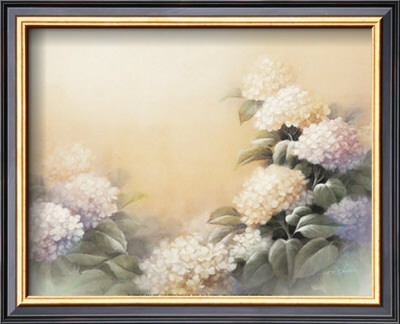 Hydrangea Blooms by T. C. Chiu Pricing Limited Edition Print image
