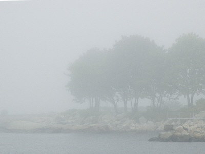 Rocky Shoreline Of The Thames River Seen Through A Dense Fog by Todd Gipstein Pricing Limited Edition Print image