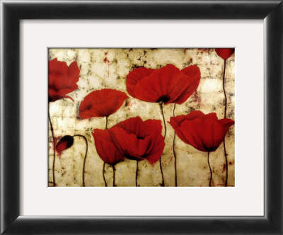 Poppies Ii by Dana Del Castillo Pricing Limited Edition Print image
