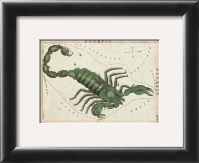 Zodiac Symbols: Scorpio by Sidney Hall Pricing Limited Edition Print image