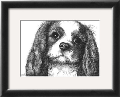 Louie The Cavalier King Charles by Beth Thomas Pricing Limited Edition Print image