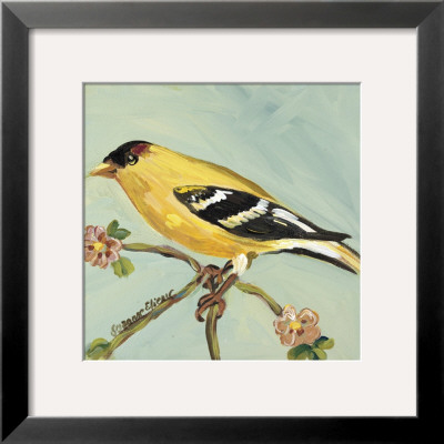 Bird Square I by Suzanne Etienne Pricing Limited Edition Print image