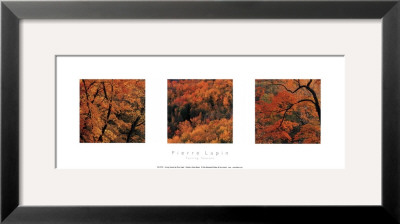 Turning Seasons by Pierre Lapin Pricing Limited Edition Print image
