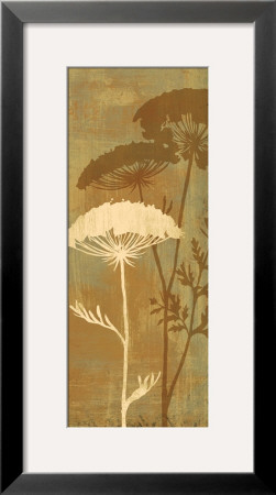Queen Anne's Lace Ii by Daphne Brissonnet Pricing Limited Edition Print image