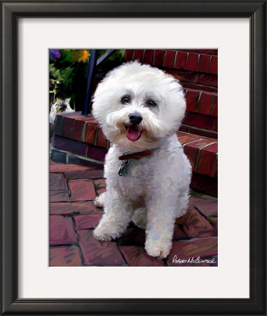 Glam Dog by Robert Mcclintock Pricing Limited Edition Print image