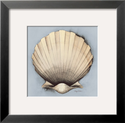 Coastal Shell Ii by Avery Tillmon Pricing Limited Edition Print image