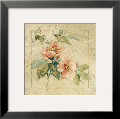 Provence Rose I by Cheri Blum Pricing Limited Edition Print image
