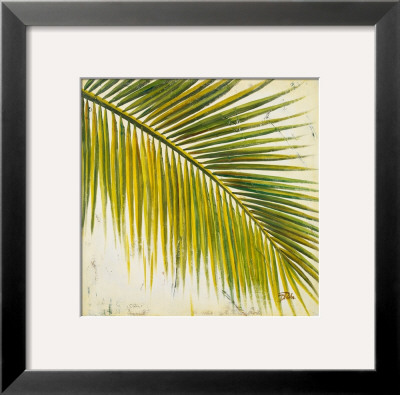Baru Palm Iii by Patricia Quintero-Pinto Pricing Limited Edition Print image