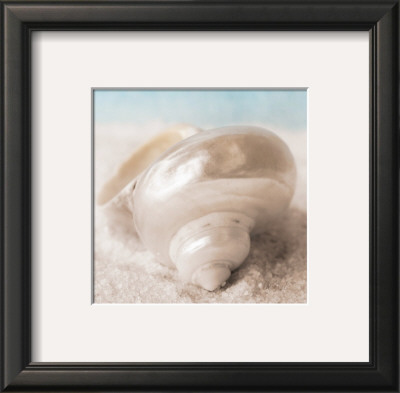 Treasures Of The Sea I by Christine E. Pricing Limited Edition Print image