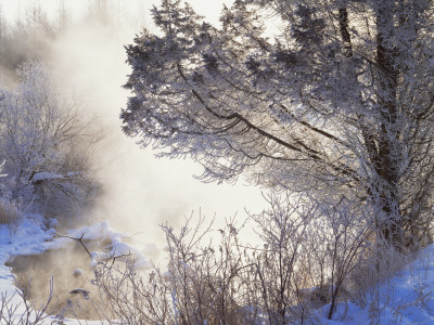 Early Morning Winter Frost Near River, Wisconsin, Usa by Larry Michael Pricing Limited Edition Print image