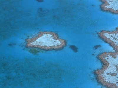 Aerial View Of The Heart Reef, Hardy Reef, Great Barrier Reef, Queensland, Australia by Jurgen Freund Pricing Limited Edition Print image