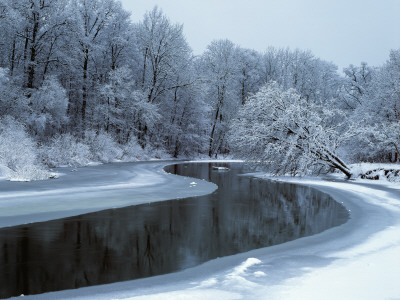 Nerussa River Beginning To Freeze, Bryansky Les Zapovednik, Russia by Igor Shpilenok Pricing Limited Edition Print image