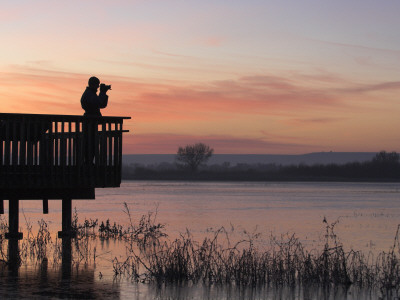 Person Bird Watching At Dawn, Bosque Del Apache National Wildlife Refuge, New Mexico, Usa by Mark Carwardine Pricing Limited Edition Print image