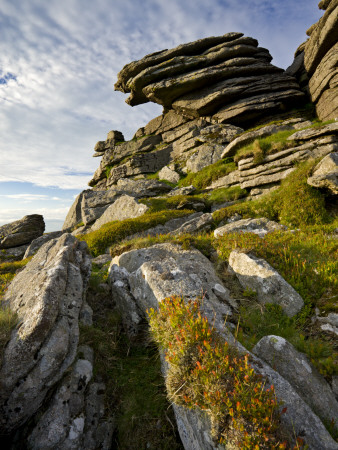 Black Tor, Dartmoor Np, Devon, Uk by Adam Burton Pricing Limited Edition Print image