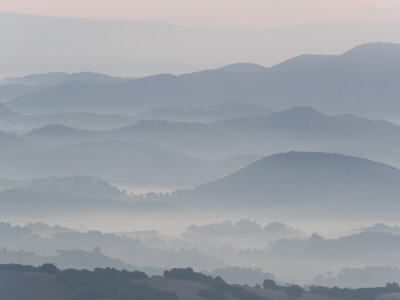 The Andalucian Campagna Near Montellano At Dawn, Andulacia, Spain, Febraury 2008 by Niall Benvie Pricing Limited Edition Print image