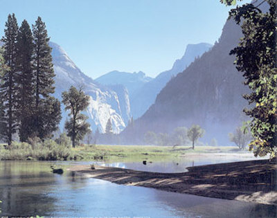 Merced River, Yosemite by Diane Leis Pricing Limited Edition Print image