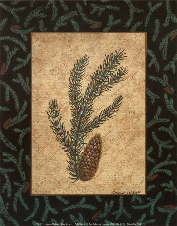 Blue Spruce by Susan Clickner Pricing Limited Edition Print image