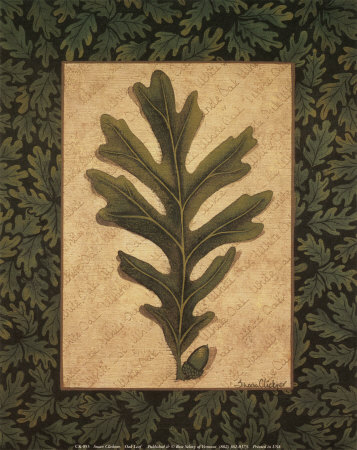 Oak Leaf by Susan Clickner Pricing Limited Edition Print image