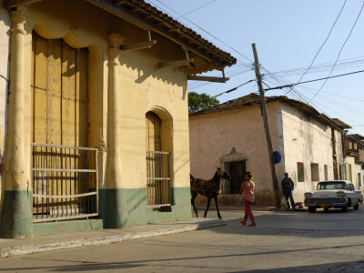 Street Scene by Shania Shegedyn Pricing Limited Edition Print image