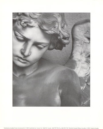 Eros by Pamela Williams Pricing Limited Edition Print image