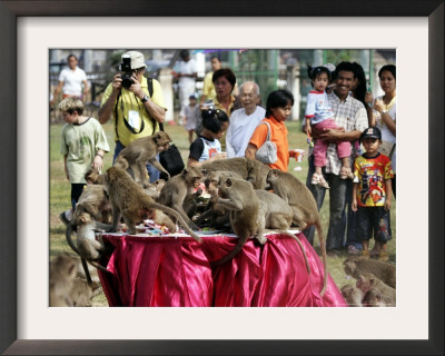 Tourists Gather To Watch Long-Tailed Macaques During An Annual Festival To Honor Them by David Longstreath Pricing Limited Edition Print image