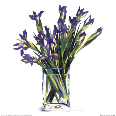 Irises by Claire Winteringham Pricing Limited Edition Print image
