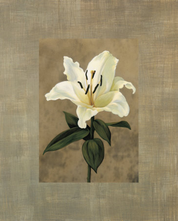 Lily by Andrea Trivelli Pricing Limited Edition Print image