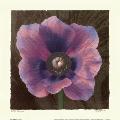 Purple Anenome by Judy Mandolf Pricing Limited Edition Print image