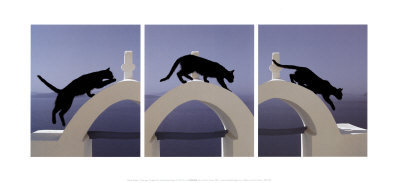 Greek Cat by Pierre Putelat Pricing Limited Edition Print image