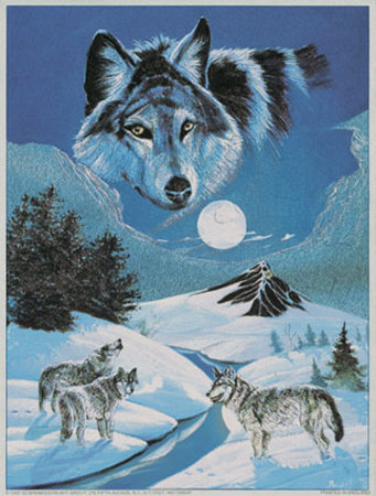Howling Wolves by Gary Ampel Pricing Limited Edition Print image