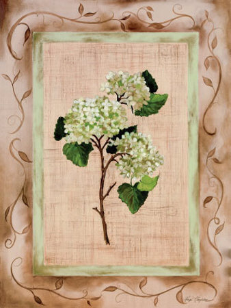 Country Hydrangea by Paige Houghton Pricing Limited Edition Print image