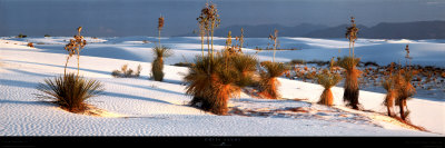 White Sands by Alain Thomas Pricing Limited Edition Print image