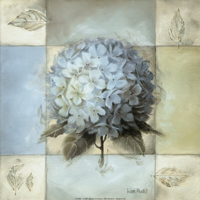 Hydrangea Ii by Lisa Audit Pricing Limited Edition Print image