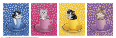 Caff-Fur-Ino Kitties by Keith Kimberlin Pricing Limited Edition Print image
