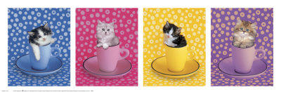Caff-Fur-Ino Kitties by Keith Kimberlin Pricing Limited Edition Print image