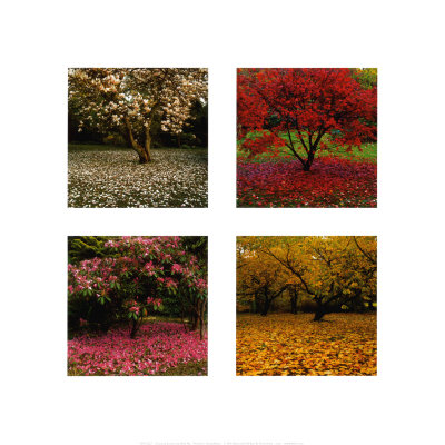 Changing Seasons by Bent Rej Pricing Limited Edition Print image