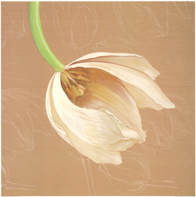 Falling Tulip by Olivia Celest Blanchard Pricing Limited Edition Print image