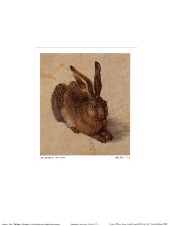 The Hare by Albrecht Durer Pricing Limited Edition Print image