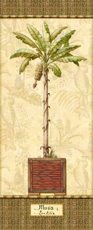 Botanical Palm Iv by Charlene Audrey Pricing Limited Edition Print image