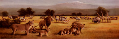 Lion Savanne by T. C. Chiu Pricing Limited Edition Print image
