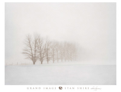 White Fog Iii by Stan Shire Pricing Limited Edition Print image