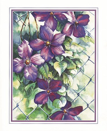 Clematis On Fence by Peggy Thatch Sibley Pricing Limited Edition Print image