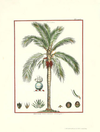 Ceroxilon Palm by Jacques De Seve Pricing Limited Edition Print image