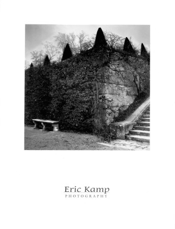 Following by Eric Kamp Pricing Limited Edition Print image