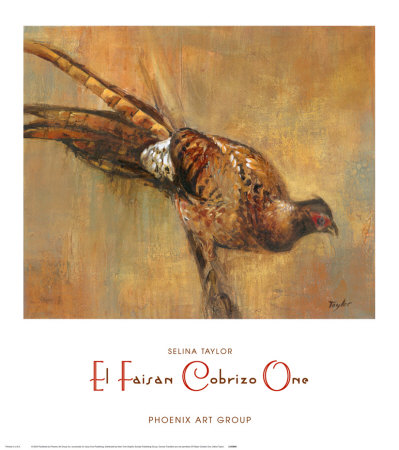 El Faisan Cobrizo I by Selina Taylor Pricing Limited Edition Print image