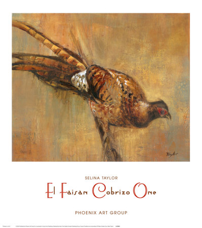 El Faisan Cobrizo I by Selina Taylor Pricing Limited Edition Print image