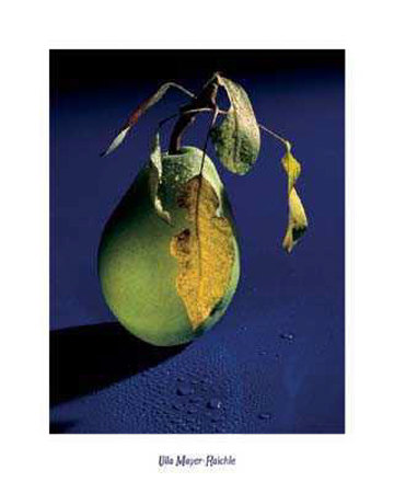 Pear In Blue by Ulla Mayer-Raichle Pricing Limited Edition Print image